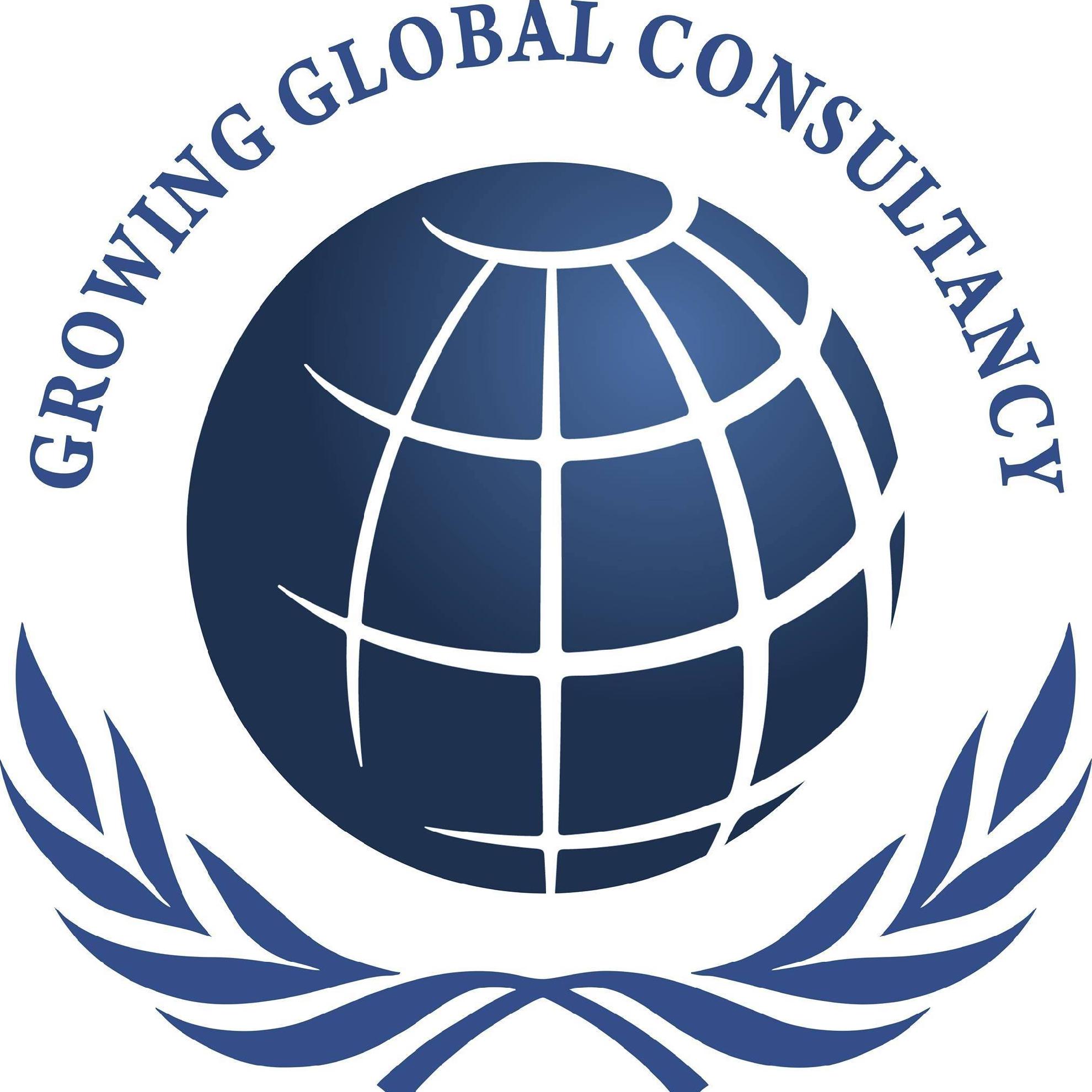 Growing Global Consultancy